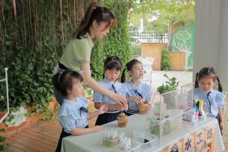 幼兒園最新招聘信息，幼教未來機遇與挑戰(zhàn)的探索之旅