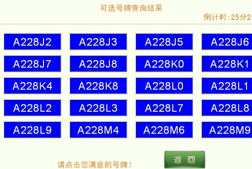 最新車(chē)牌號(hào)背后的探索與啟示