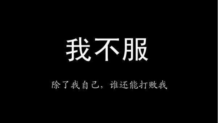 探索語言的新疆界，最新句子精選