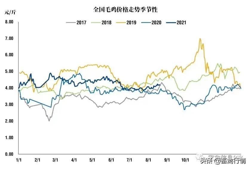 毛豬最新價格動態(tài)解析