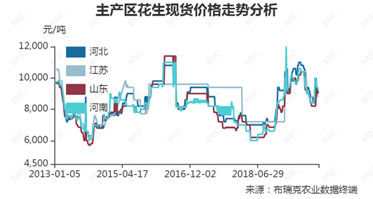 花生市場最新行情深度解析