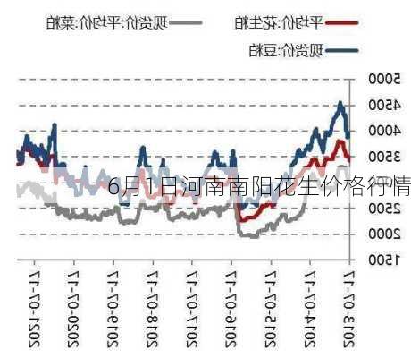 花生市場最新行情深度解析