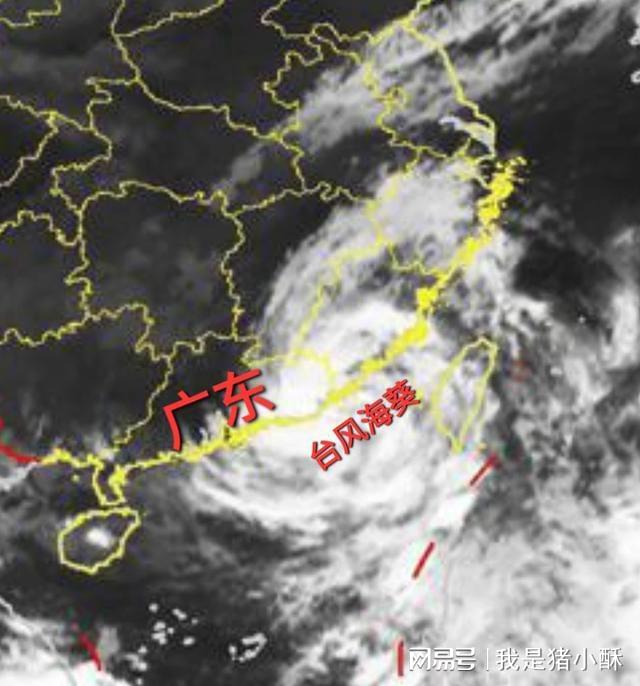 臺風(fēng)最新動態(tài)，實(shí)時(shí)消息、分析與預(yù)測