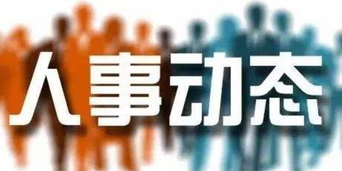 企業(yè)變革新篇章，人事變動背后的動力與未來展望