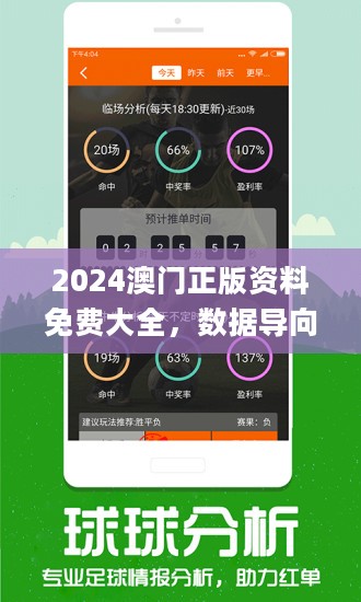 2024澳门精准正版资料,实用性执行策略讲解_pack85.257