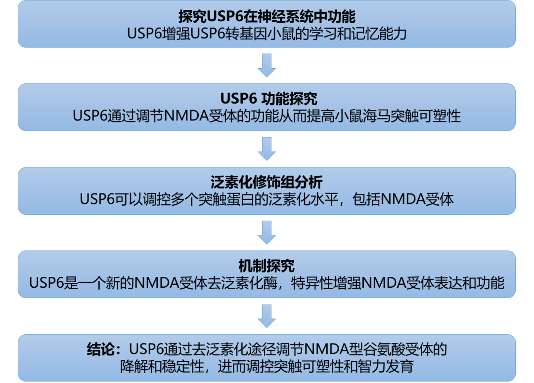 新澳精准资料免费提供208期,高速响应策略解析_kit84.226