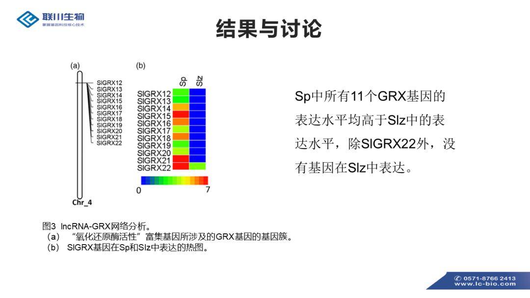 新澳资料免费大全,调整细节执行方案_GT80.634