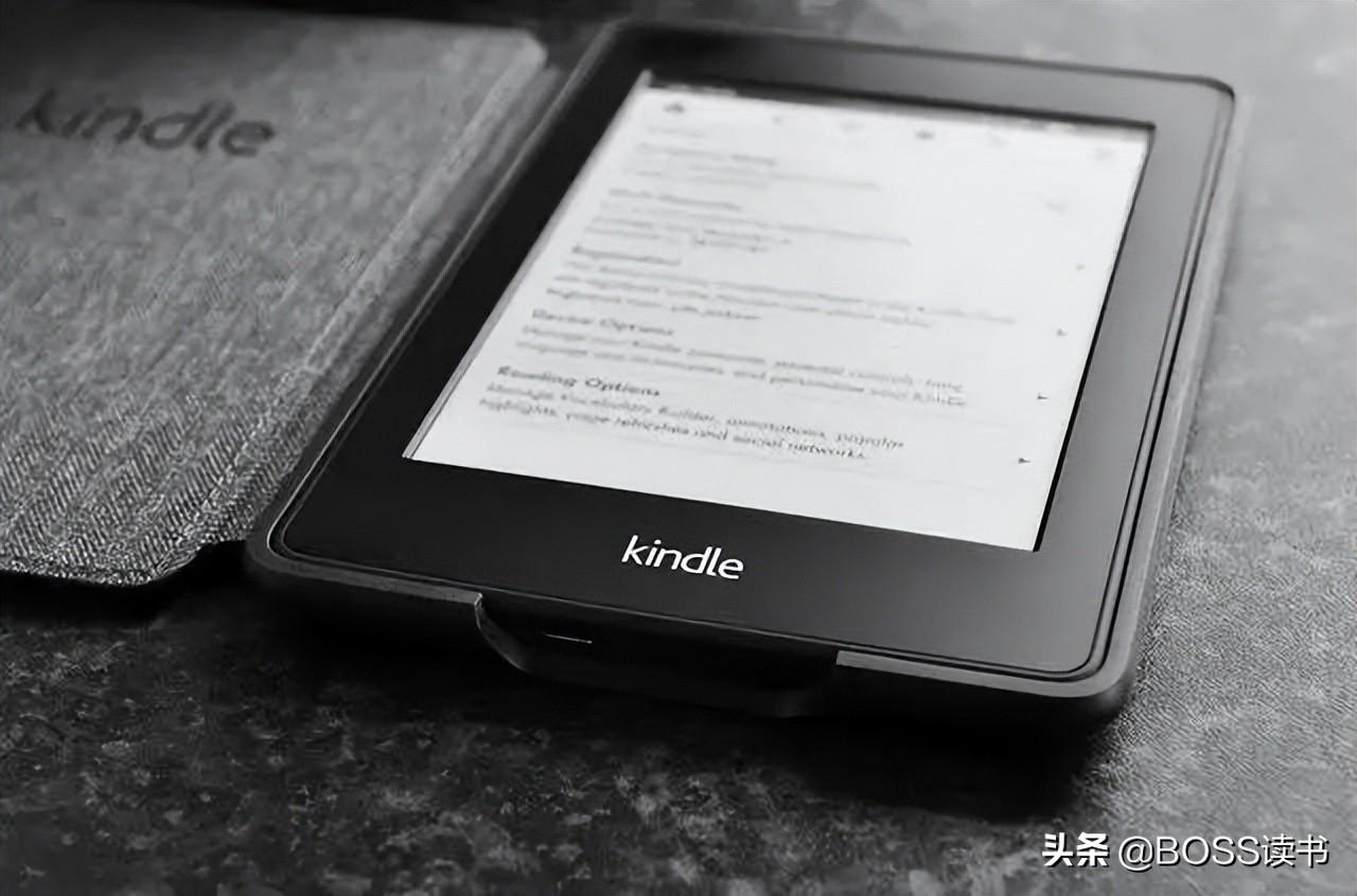 2024正版资料大全开码,数据计划引导执行_Kindle98.50