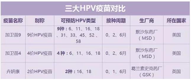 最新HPV疫苗，理解其重要性及自我和家人防護(hù)指南