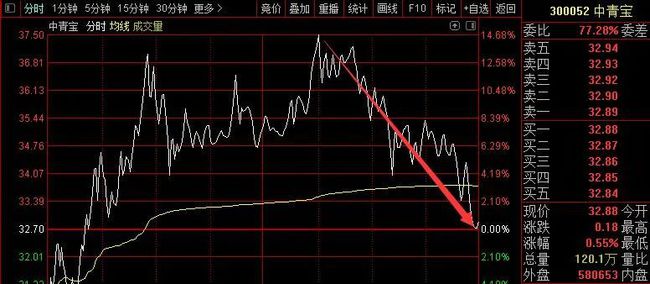 2024特马今晚开奖,仿真实现技术_P版93.490