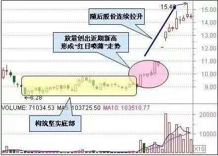 澳门天天彩期期精准,高度协调策略执行_轻量版80.105