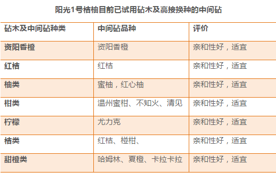 2024年11月9日 第67页