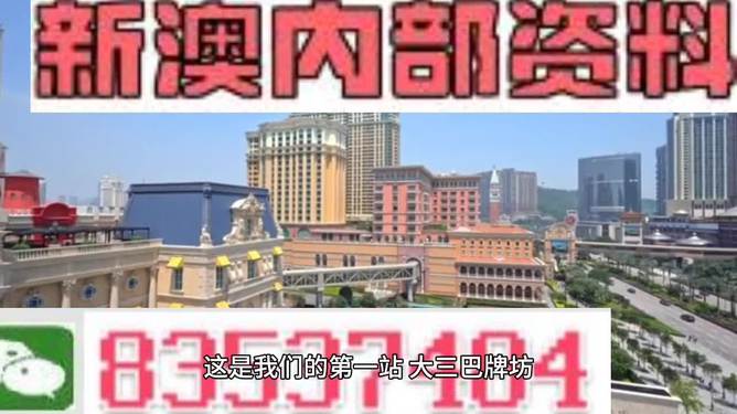 2024新澳门精准免费大全,诠释说明解析_经典款48.305