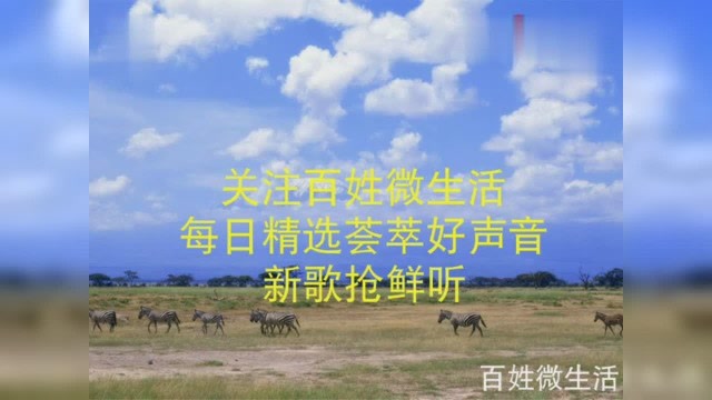 最新愛情歌曲，情感演繹與都市愛情故事的重燃旋律