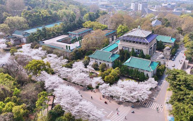 武漢大學(xué)最新消息概覽，校園動(dòng)態(tài)與發(fā)展成就全解析