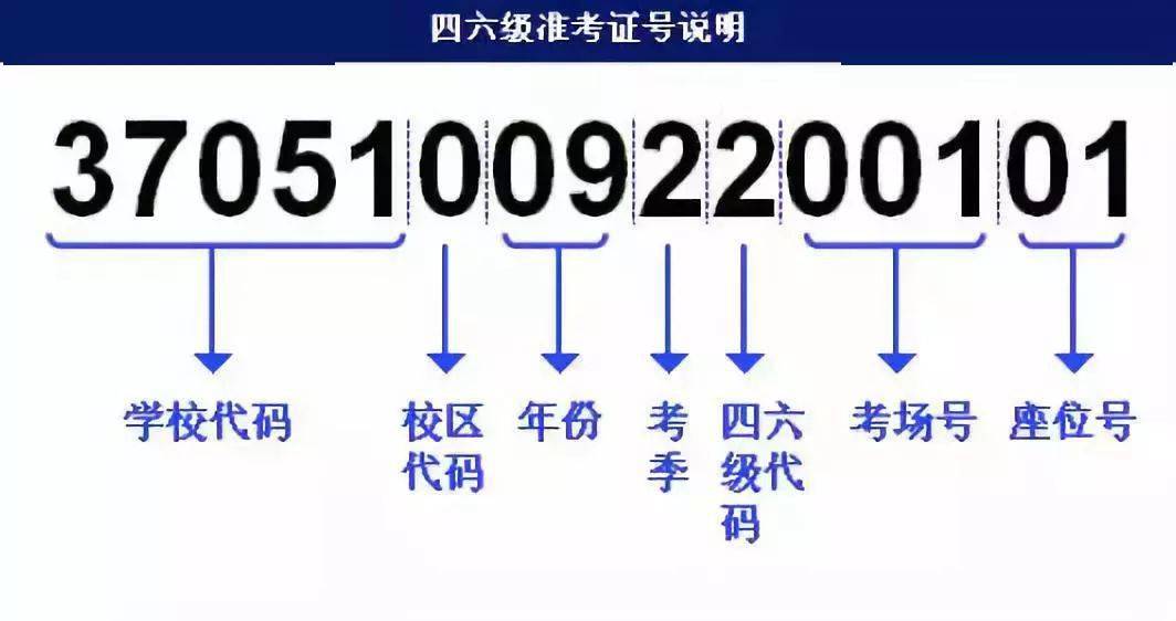 2024年11月11日 第42页