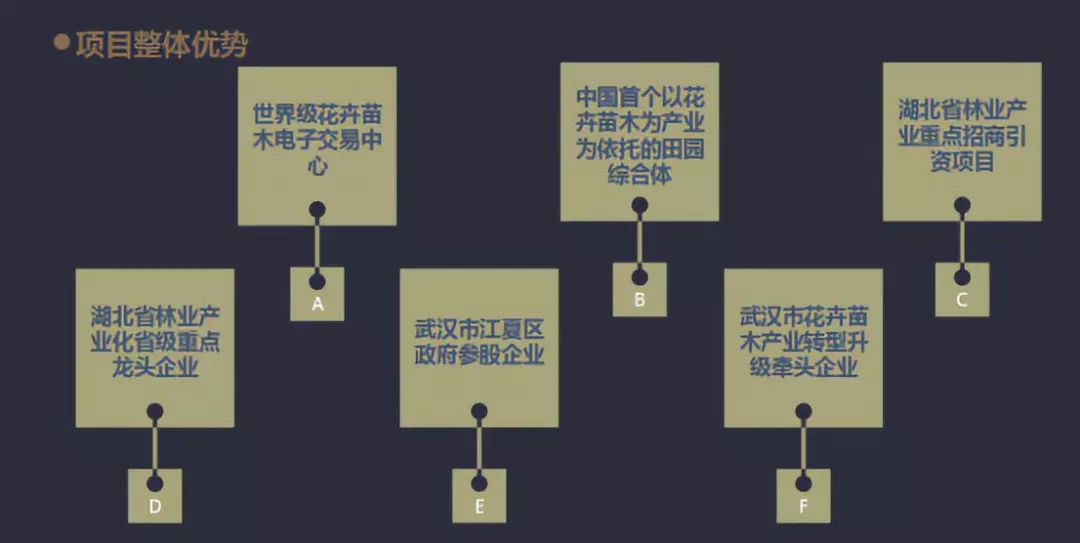 新澳门期期准,可持续发展实施探索_扩展版36.490