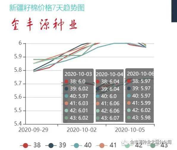 棉籽價(jià)格最新行情解析