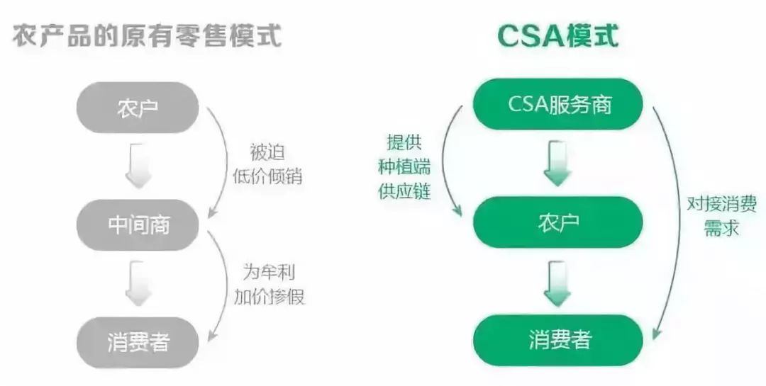 看香港正版精准特马资料,数据整合实施方案_BT63.332