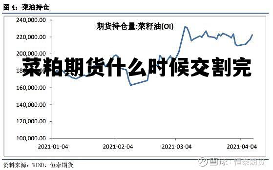 菜粕期貨市場(chǎng)綜述與交易策略，最新動(dòng)態(tài)與趨勢(shì)分析