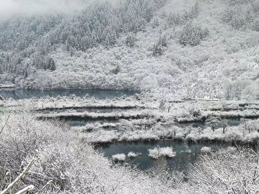 九寨溝，自然與人文的和諧共生現(xiàn)狀揭秘