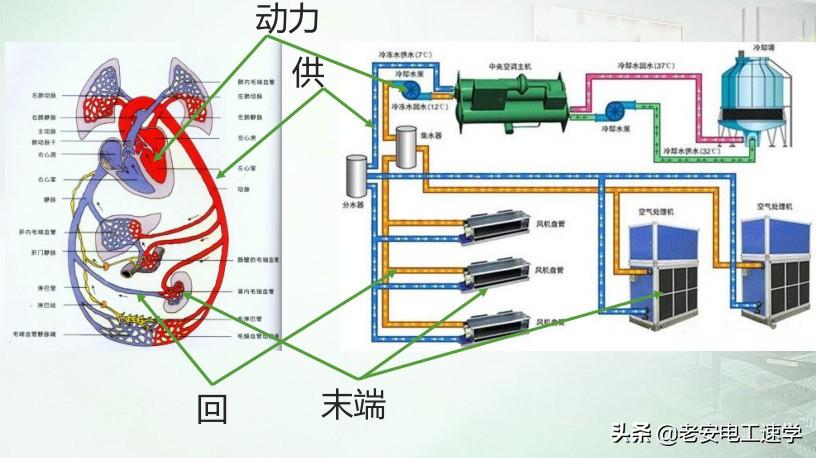 中央商場股票最新概況概覽