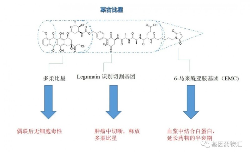 最新CART免疫治療臨床招募，開啟癌癥治療新紀(jì)元