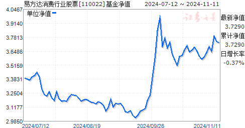 全面解读，今日最新净值公布，关于110022基金净值查询结果分析