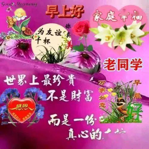 校園時(shí)光的最新圖片回顧，同學(xué)們早上好！