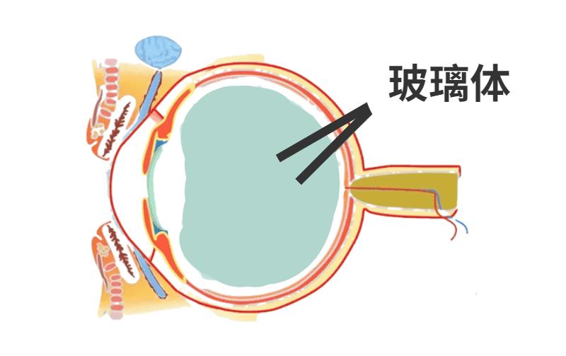 最新食物含碘概览表