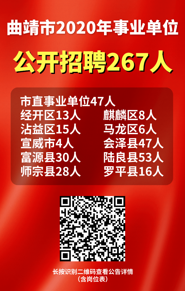 曲靖招聘网最新招聘动态深度剖析