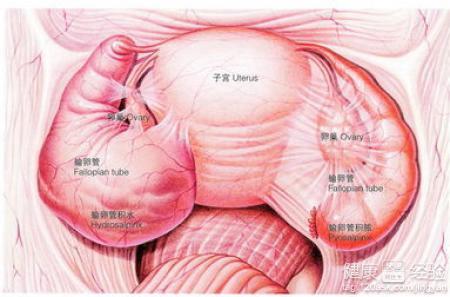 子宮腺肌癥最新治療方法的研究與應(yīng)用進(jìn)展