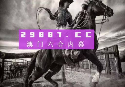 新奥门正版免费资料怎么查,现状解读说明_粉丝版30.288