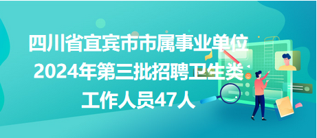 宜宾招聘网最新招聘动态深度解读与解析