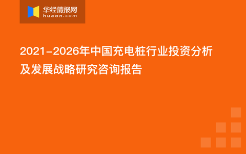 管家婆204年資料一肖小龙女,未来展望解析说明_苹果版23.216