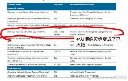 新澳今天最新免费资料,高效执行计划设计_XT49.144