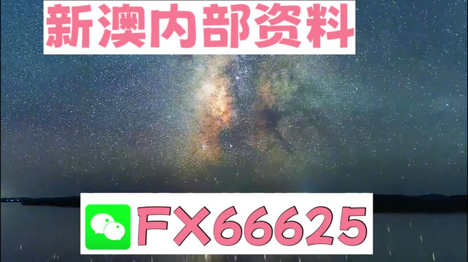 新澳天天彩免费资料2024老,灵活实施计划_Galaxy37.159