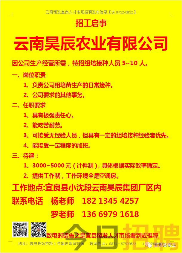 陆良招聘网最新招聘动态及其区域影响力分析