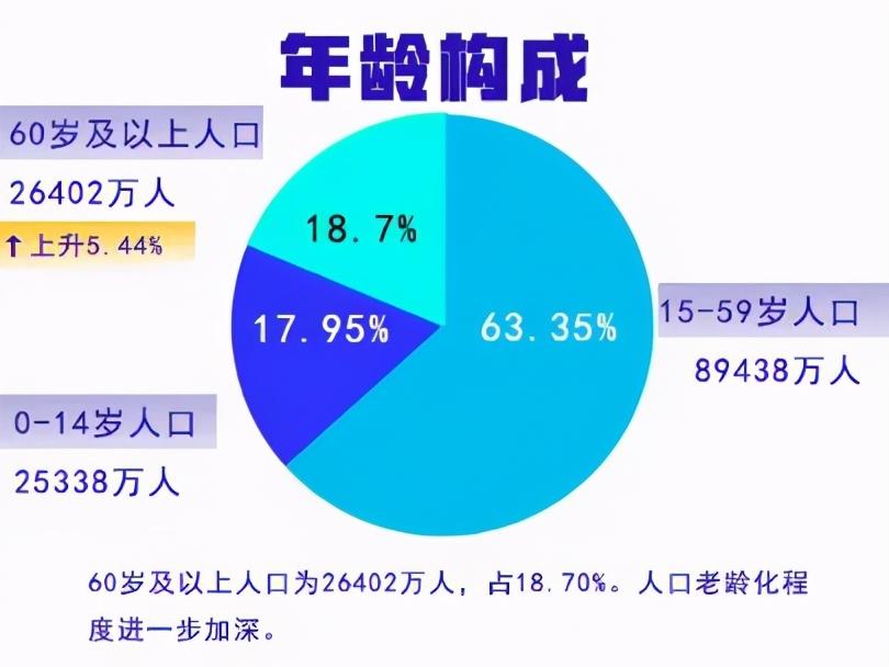 2024年11月19日 第7页