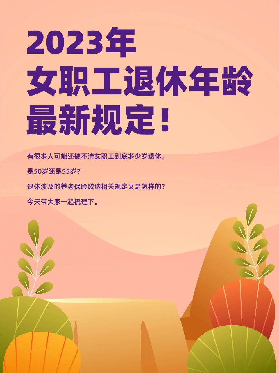 女職工退休年齡政策最新解析及其社會(huì)影響探討