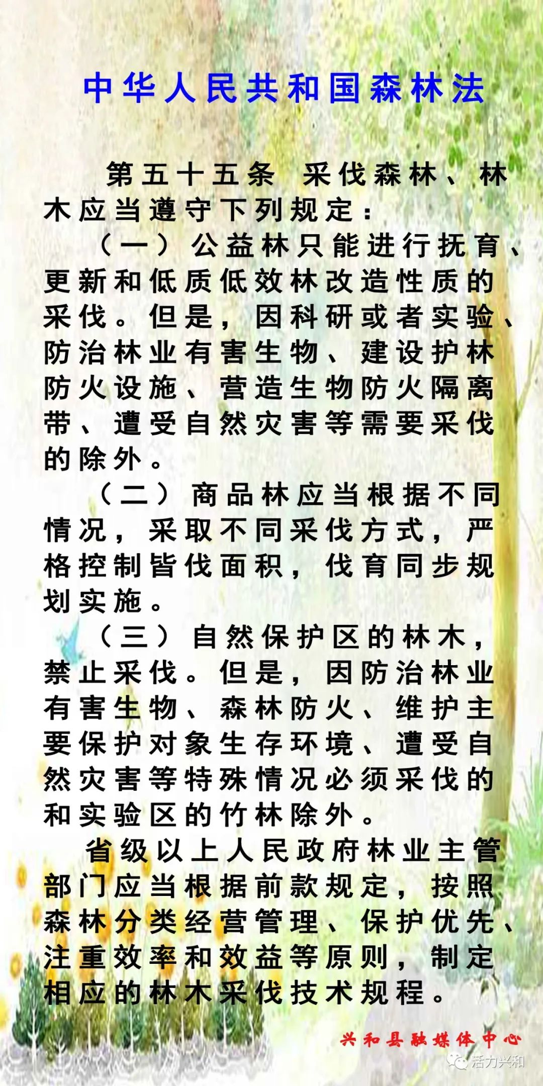 最新森林法全文深度解讀