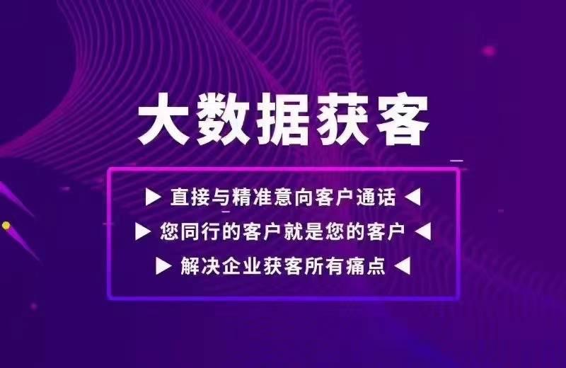 2024新澳精准资料免费提供下载,效率资料解释落实_pro37.965