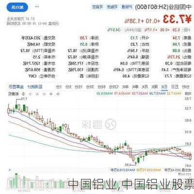 中国铝业最新股价动态与市场趋势深度解析