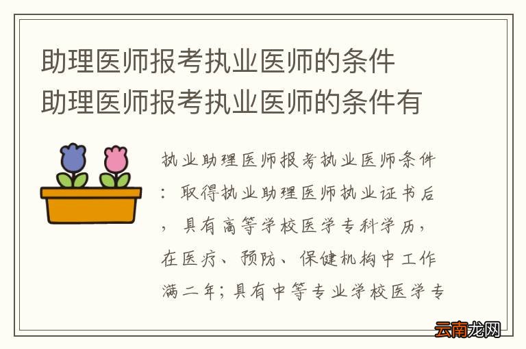 执业助理医师最新政策深度解析