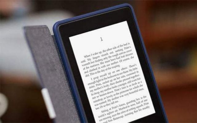 2024新澳免费资料三头67期,实地研究数据应用_Kindle25.999