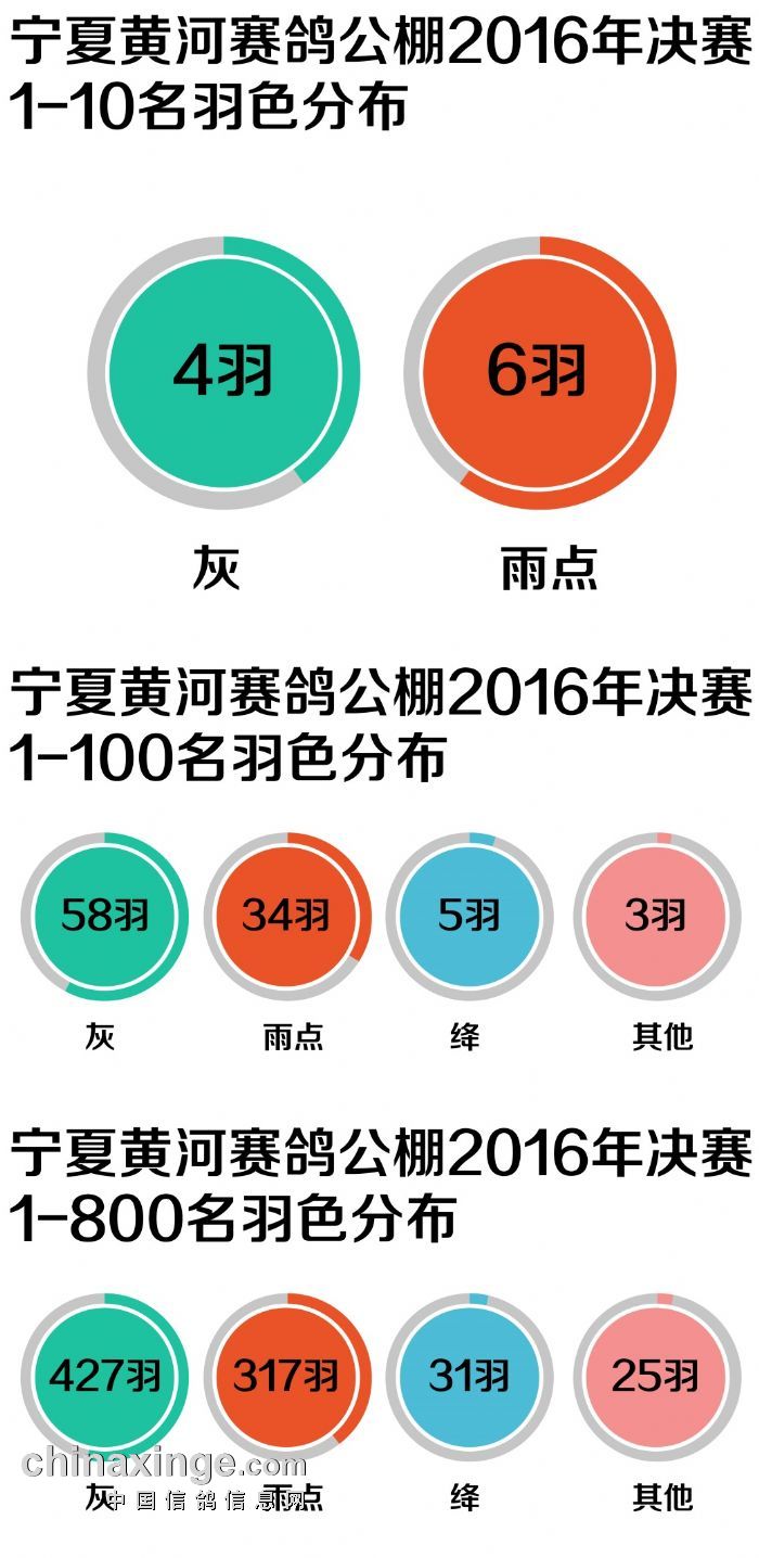 宁夏黄河公棚未来发展规划揭晓，开启崭新篇章的公告