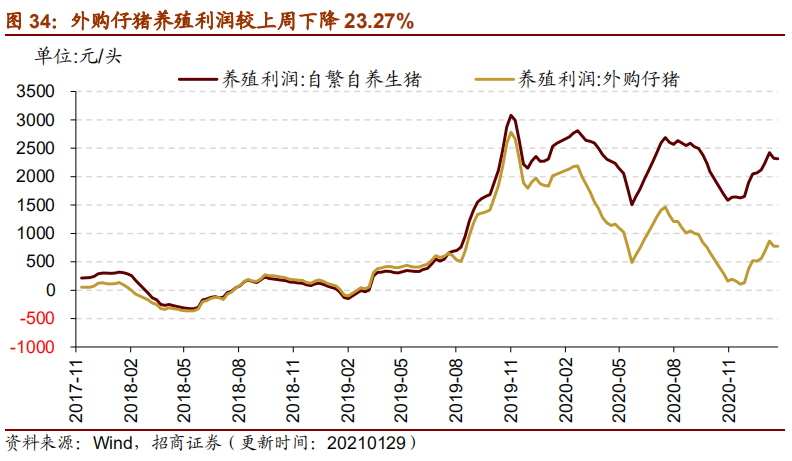 2024新奥历史开奖记录香港,数据导向实施策略_经典版41.90