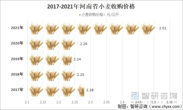 小麦价格动态，最新消息与市场影响因素分析