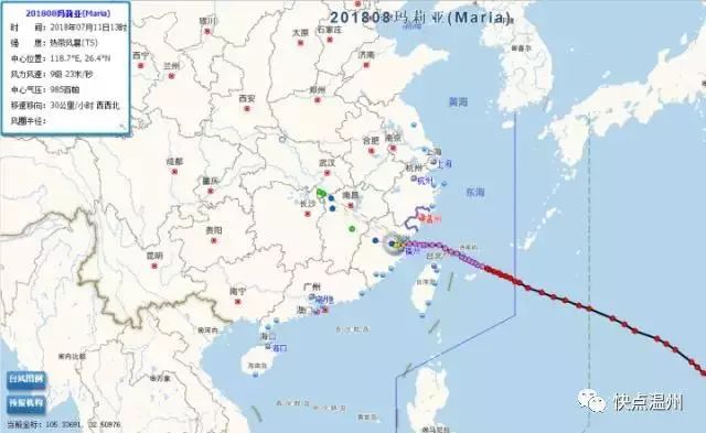 温州台风最新消息，路径、动态及影响分析