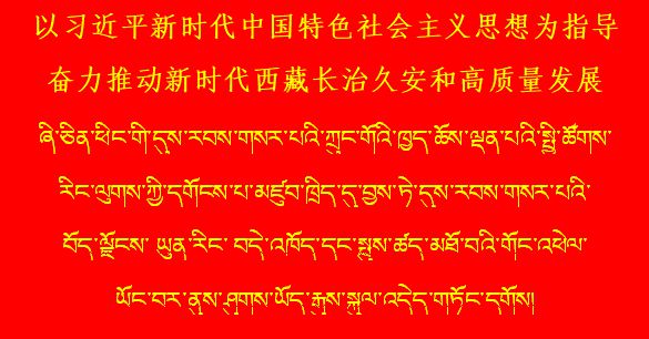 拉萨最新招聘信息汇总